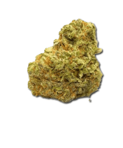 Lemon Cherry Pie Strain