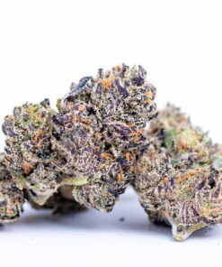 Coochie Runtz Strain