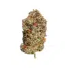 Grease Monkey Strain