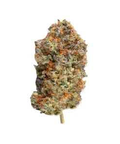 Grease Monkey Strain