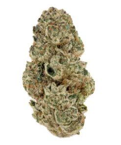 Horchata Strain