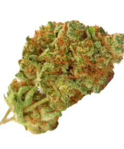 Sundae Driver Strain