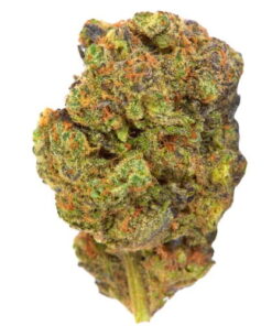Georgia Pie Strain