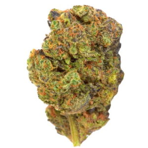 Georgia Pie Strain