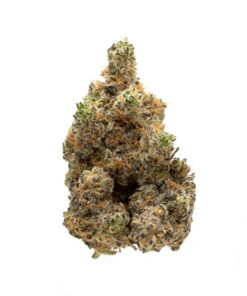 Gelato Runtz Strain