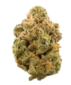 Rainbow Runtz Strain