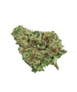 Watermelon Mimosa Strain