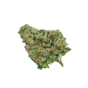 Watermelon Mimosa Strain