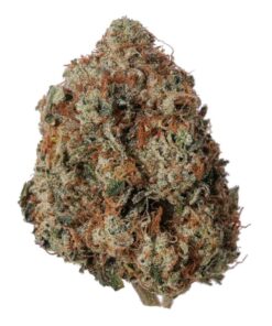 Motorbreath Strain