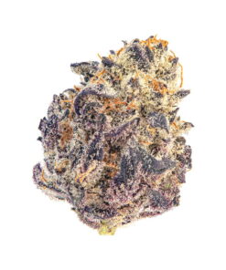 Oreo Runtz Strain