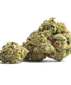 Grape Runtz Strain
