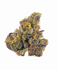 Gush Mints Strain