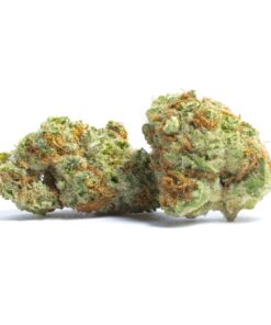 Face Mints Strain