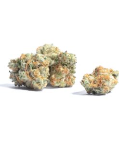 Red Runtz Strain