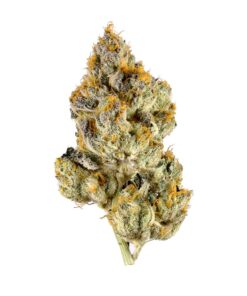 Lemon Cherry Gelato Strain