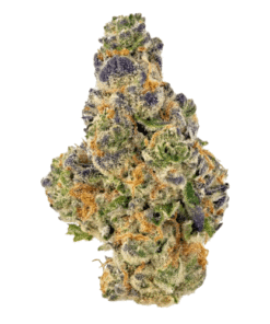 Gumbo Strain