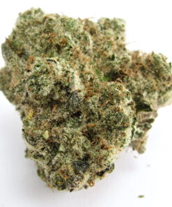 Greasy Runtz Strain