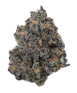 Tropicana Cherry Strain