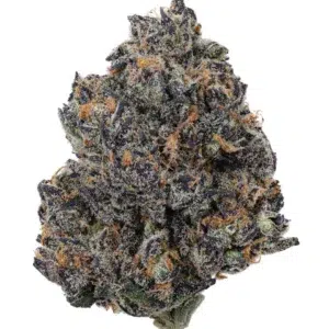 Tropicana Cherry Strain