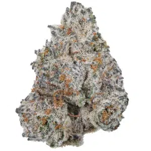 White Truffle Strain