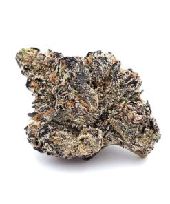 White Runtz Strain